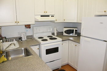 Apartment Adib - 362 Friel St, Unit 2 *
